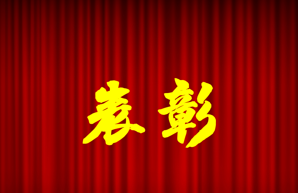 逐光前行、榮耀共鑒 | 公司2024年度表彰來啦！